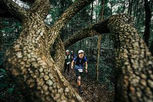 BIB: 
                            <button type="button" onclick="openModal(25393267)" class="btn btn-primary btn-sm float-right btn-popup" data-toggle="modal" data-target=".modal-high-quality">
                        <i class="fas fa-shopping-cart"></i> Add to Cart
                    </button>
                                            <button type="button" onclick="isThisMe(25393267, true)" class="btn btn-success btn-sm float-right btn-popup btn-isme hidden" data-toggle="tooltip" data-placement="bottom" title="นี่คือรูปของคุณใช่ไหม คลิกที่นี่เพื่อเอาเข้าอัลบั้ม">
                        <i class="fas fa-plus"></i> Add to album
                    </button>
                    <button type="button" onclick="isThisMe(25393267, false)" class="btn btn-warning btn-sm float-right btn-popup btn-isnotme hidden">
                        <i class="fas fa-ban"></i> Remove from album
                    </button>